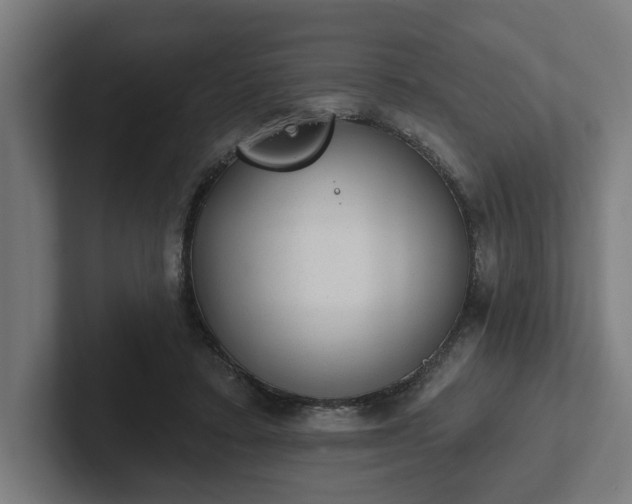 X0000102310403200808011427