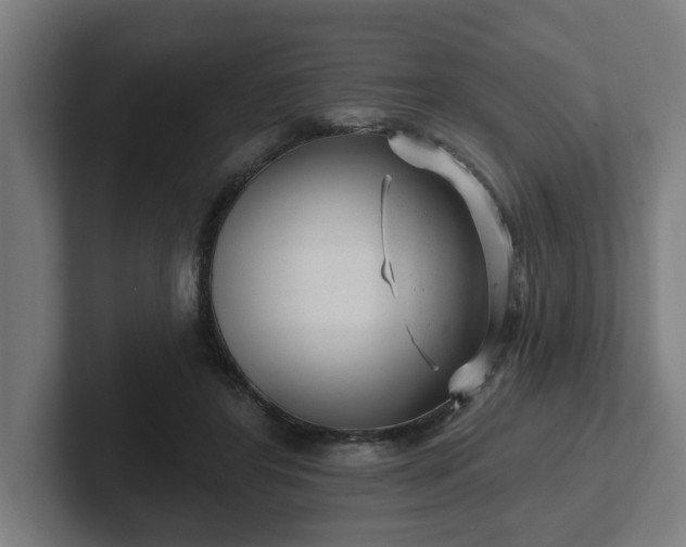 X0000102310404200808011427