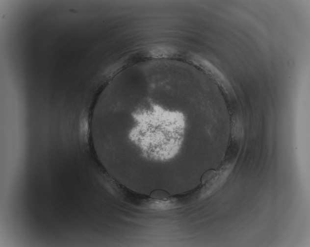 X0000102310405200808011427