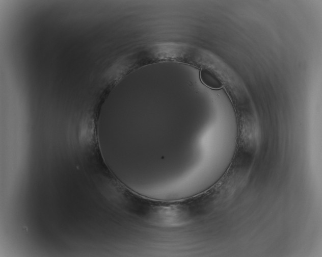 X0000102310411200808011427