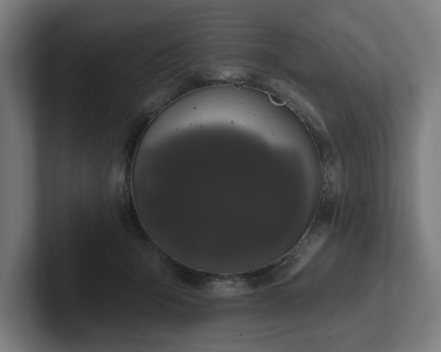 X0000102310415200808011427