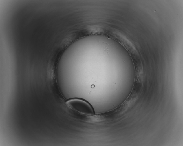 X0000102310417200808011427