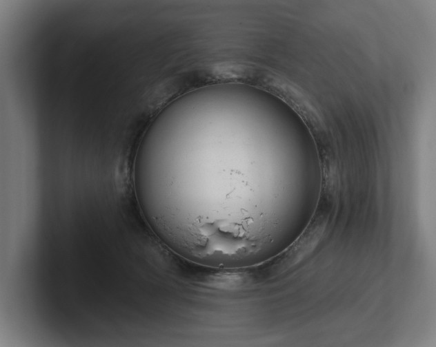 X0000102310418200808011427