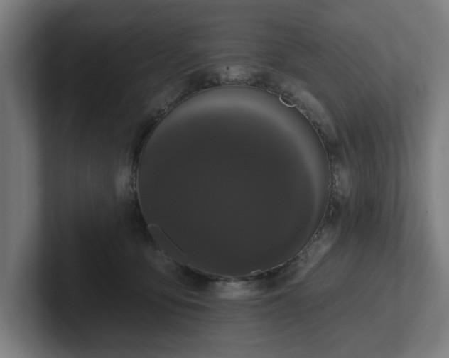 X0000102310419200808011427