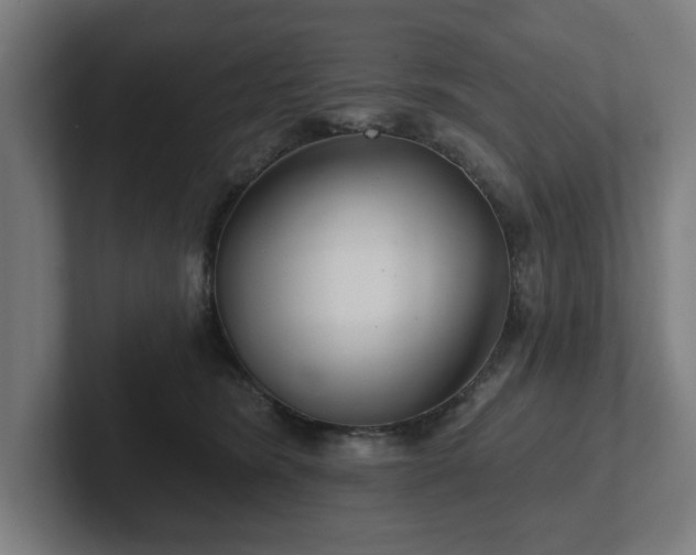 X0000102310420200808011427