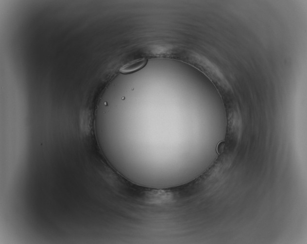 X0000102310421200808011427