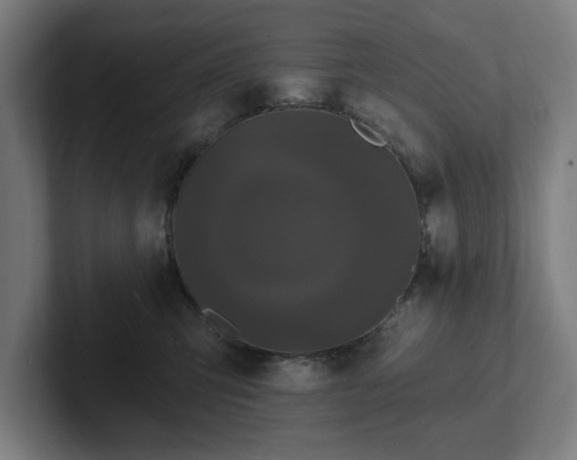 X0000102310423200808011427