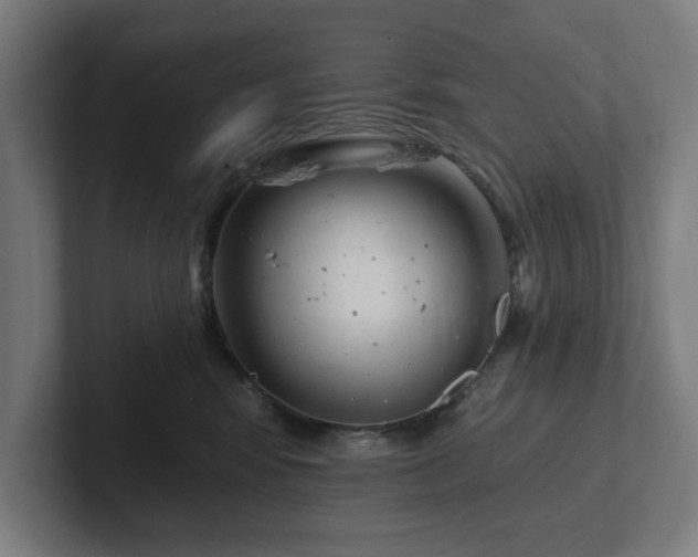 X0000102310424200808011427