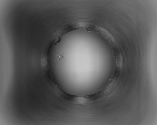 X0000102310425200808011427