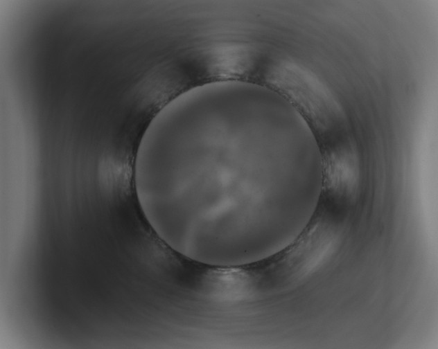 X0000102310427200808011427