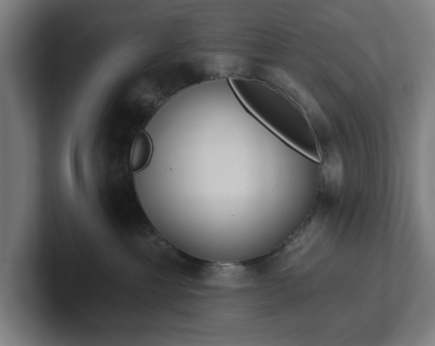 X0000102310429200808011426