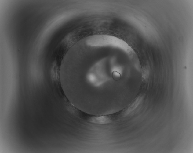 X0000102310431200808011426