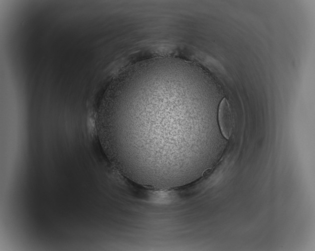 X0000102310432200808011426