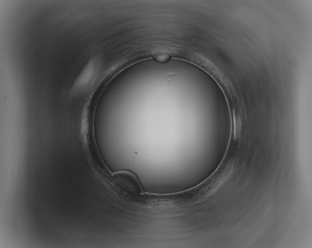 X0000102310435200808011426