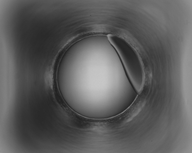 X0000102310436200808011426