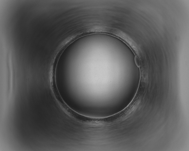 X0000102310437200808011426