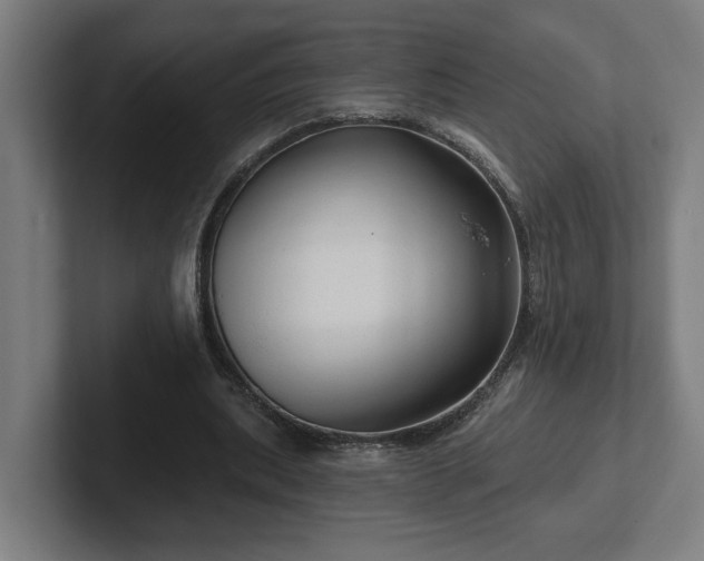 X0000102310439200808011426