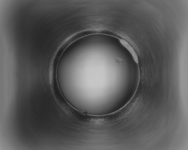 X0000102310440200808011426