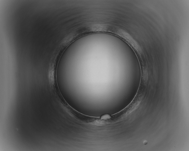 X0000102310441200808011426