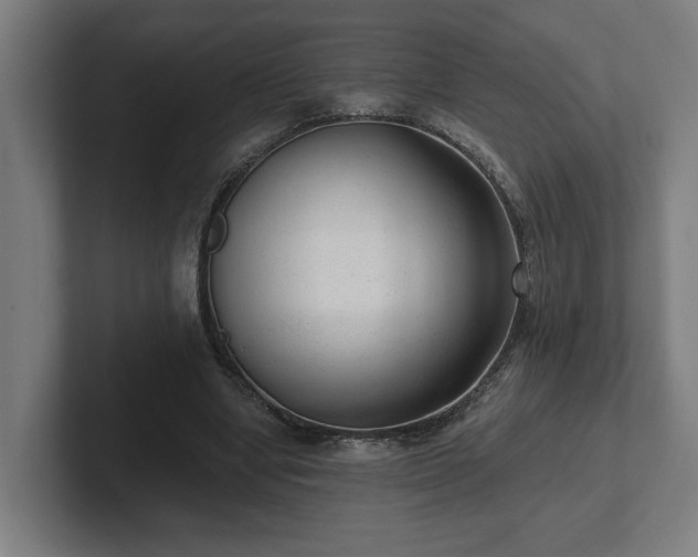 X0000102310442200808011426