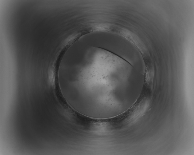 X0000102310444200808011426