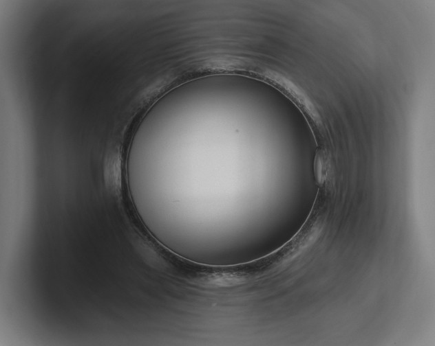 X0000102310445200808011426