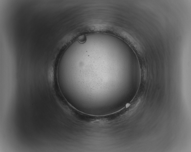 X0000102310447200808011426