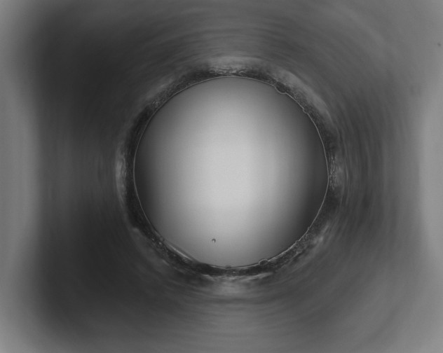 X0000102310448200808011426