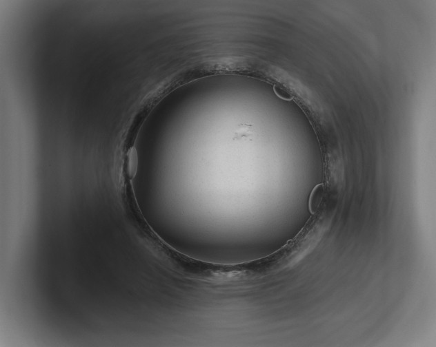 X0000102310450200808011426