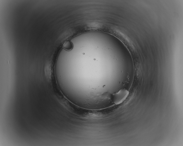 X0000102310455200808011426