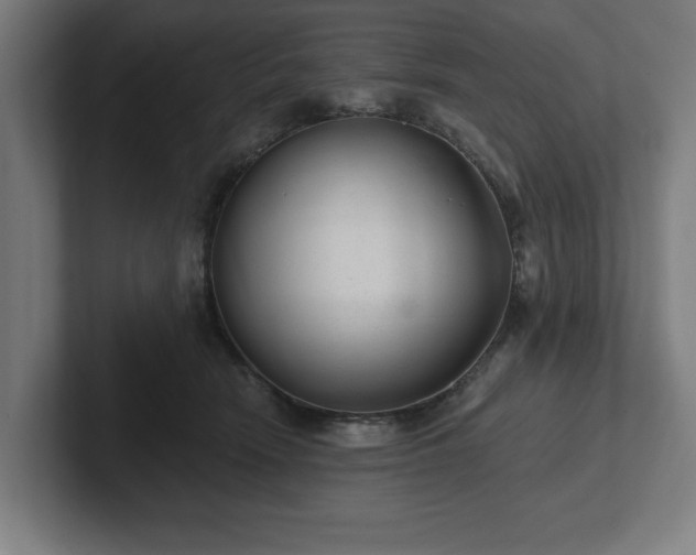 X0000102310466200808011426