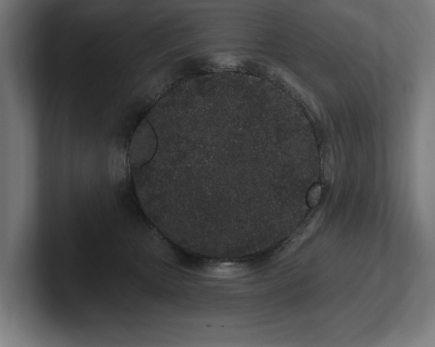 X0000102310467200808011426