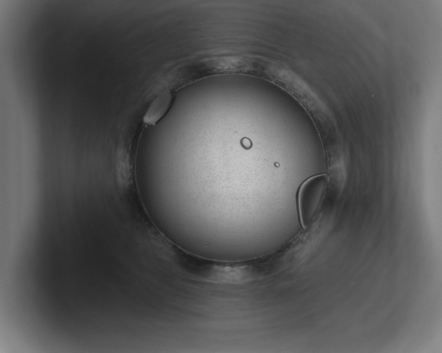 X0000102310469200808011426