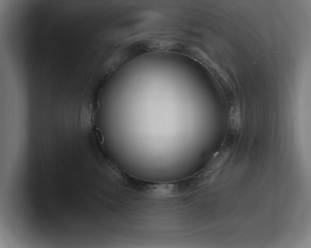 X0000102310474200808011426