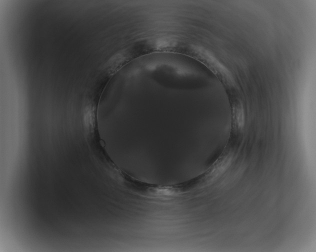 X0000102310475200808011426