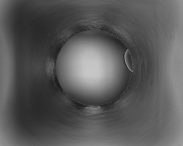 X0000102310480200808011426