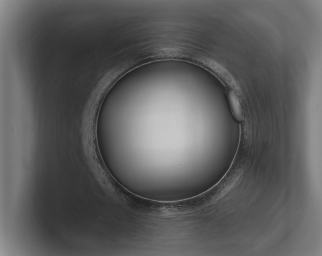 X0000102310481200808011426