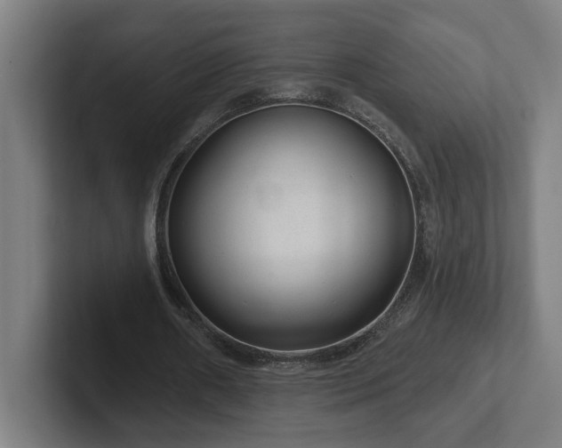 X0000102310482200808011426