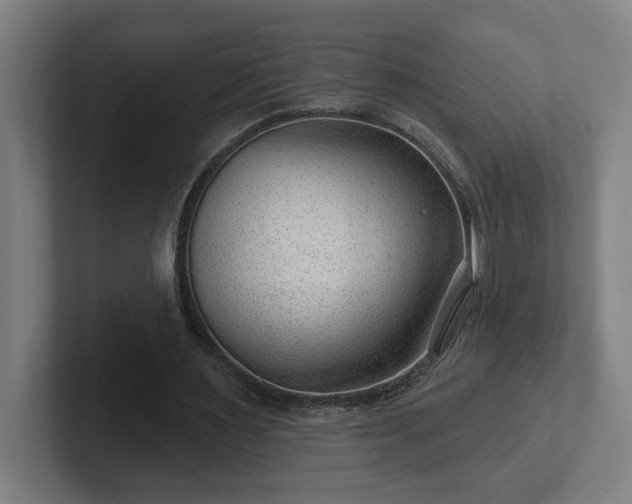 X0000102310483200808011426