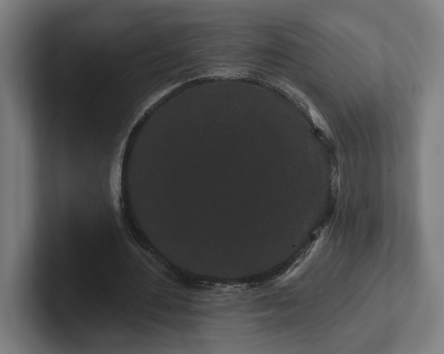 X0000102310484200808011426