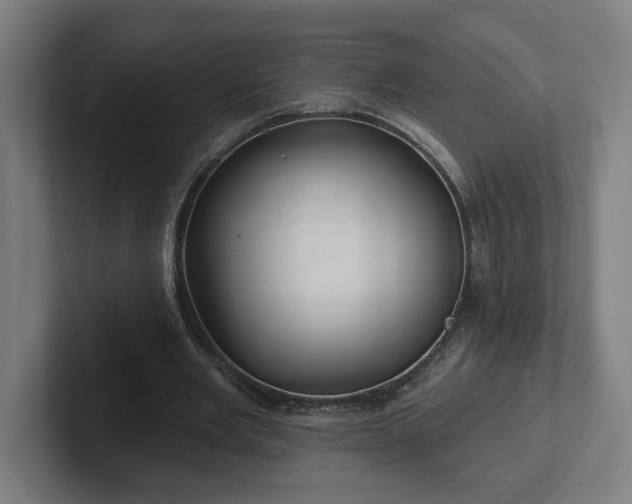 X0000102310485200808011426