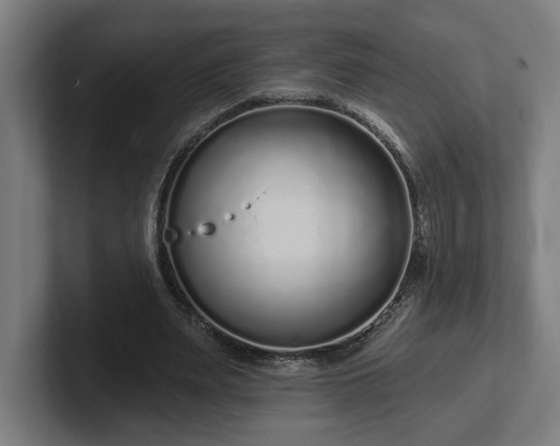 X0000102310487200808011426