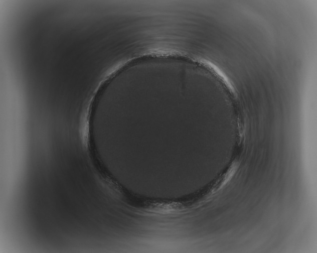 X0000102310488200808011426