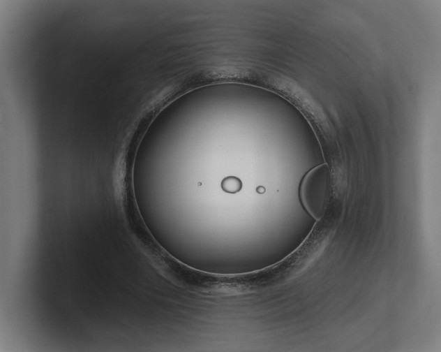 X0000102310490200808011426