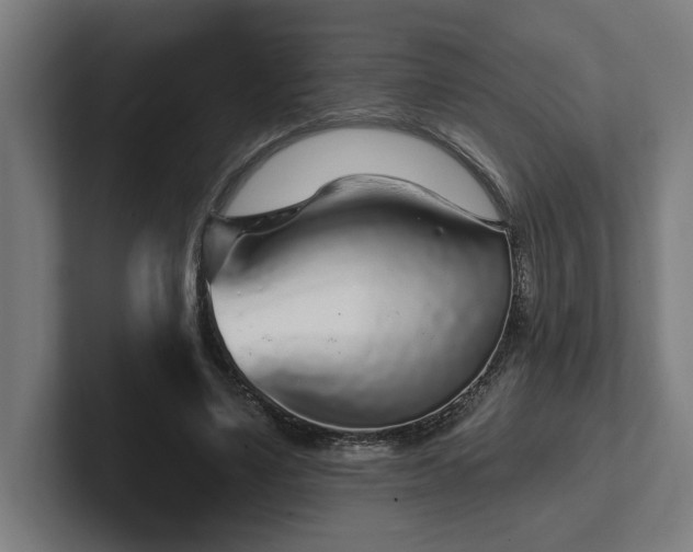 X0000102310491200808011426