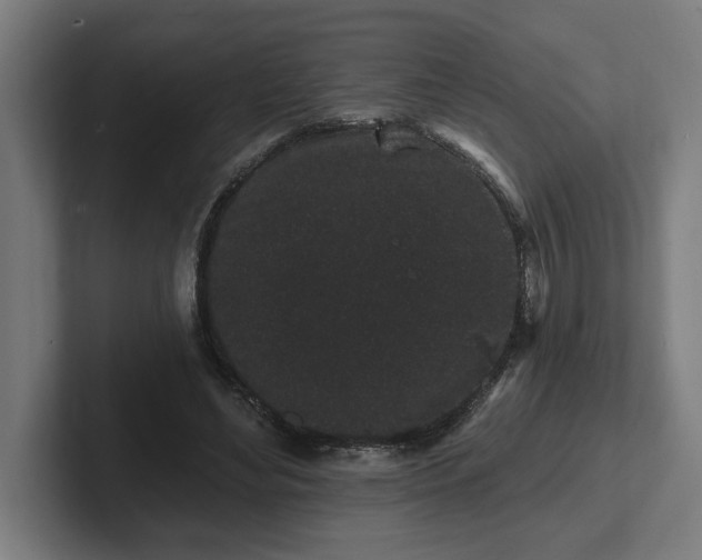 X0000102310492200808011426