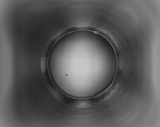 X0000102310495200808011426