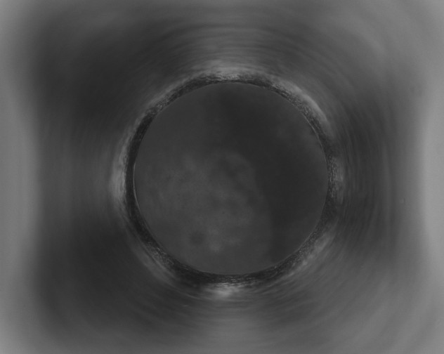 X0000102310496200808011426