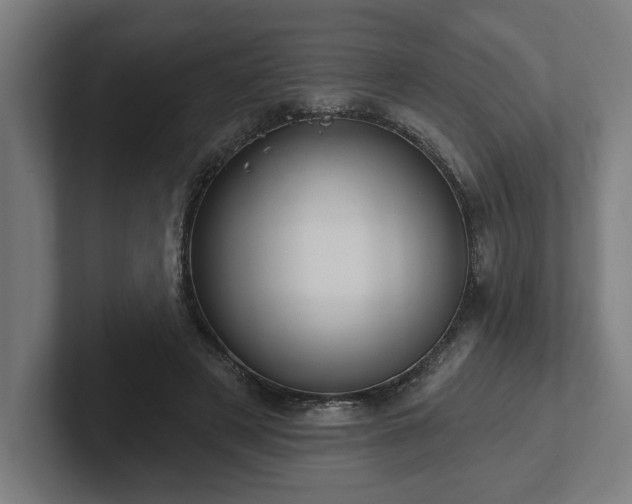 X0000102310497200808011426