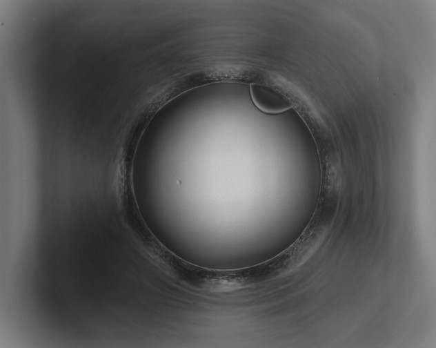 X0000102310498200808011426